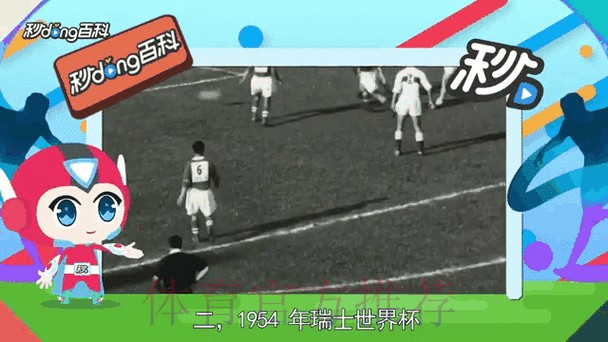 全面解读世界杯比分分析最新网址动态